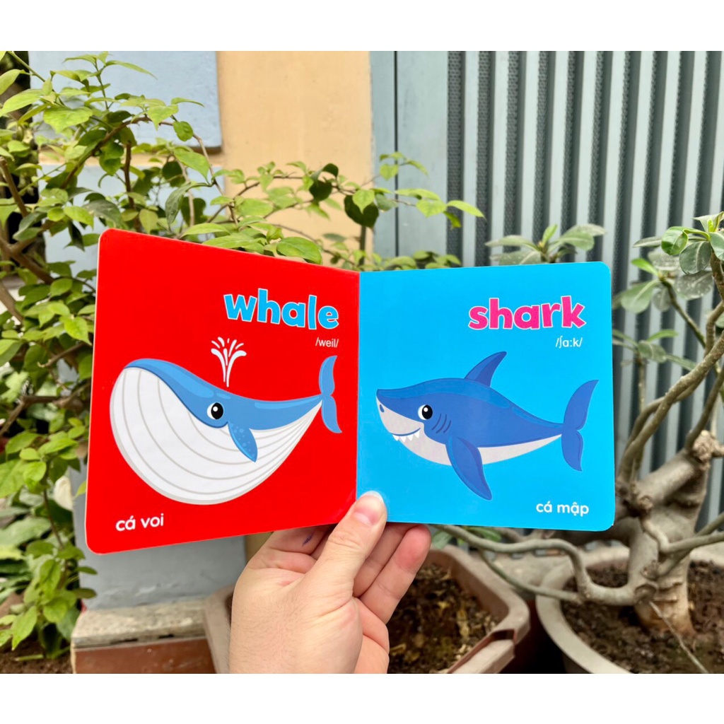 Sách - Thư viện hình ảnh đầu tiên Baby's First Picture Book