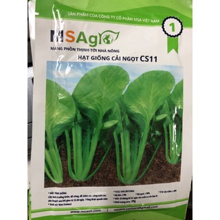 Hạt giống cải ngọt cọng xanh 🌱