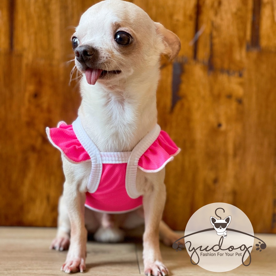 Áo dây cánh tiên phom croptop mặc cho chó mèo - áo chó mèo dễ thương yudog