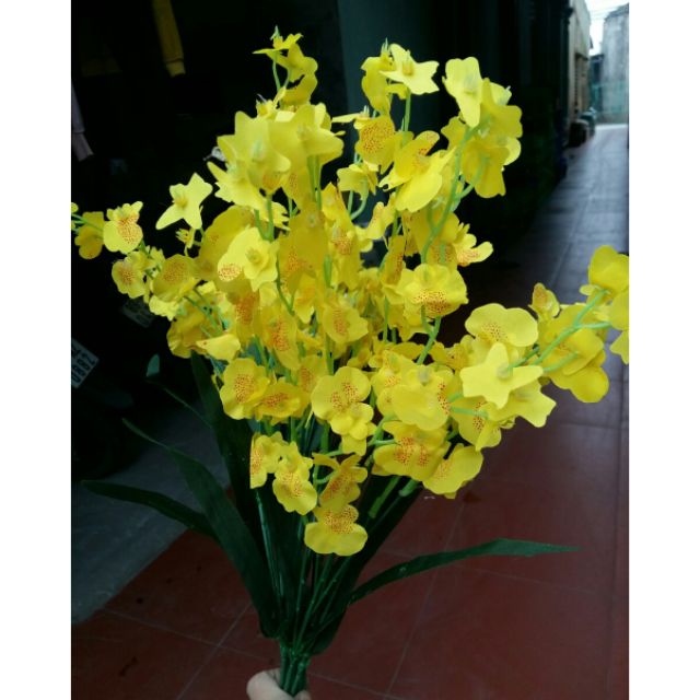 10 cành hoa lan vũ nữ cao cấp