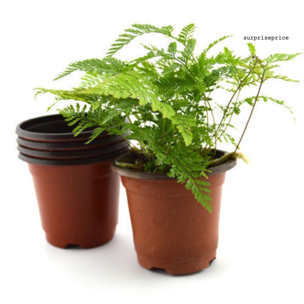 Set 10 Chậu Hoa Bằng Nhựa Hình Tròn Đa Năng Tiện Dụng