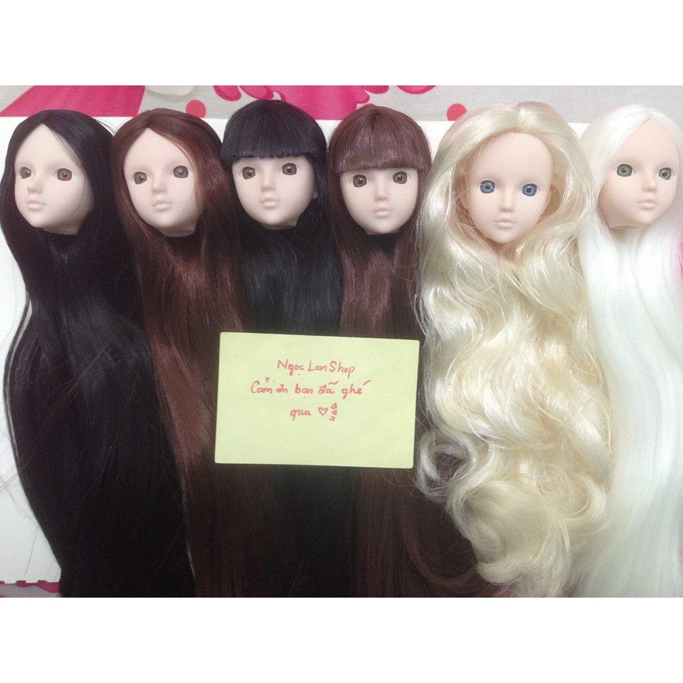 Các loại đầu Xinyi chưa trang điểm