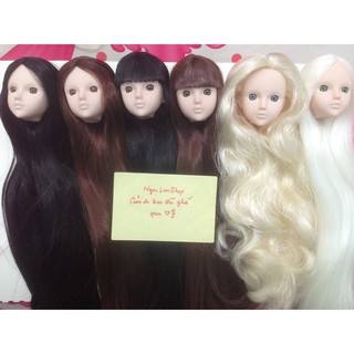 Các loại đầu Xinyi chưa trang điểm