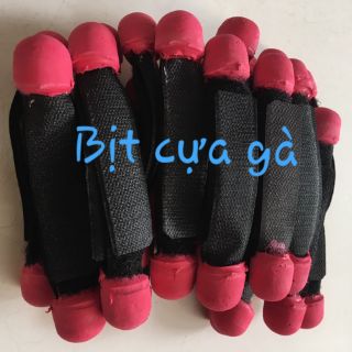 Bịt mỏ và bịt cựa gà