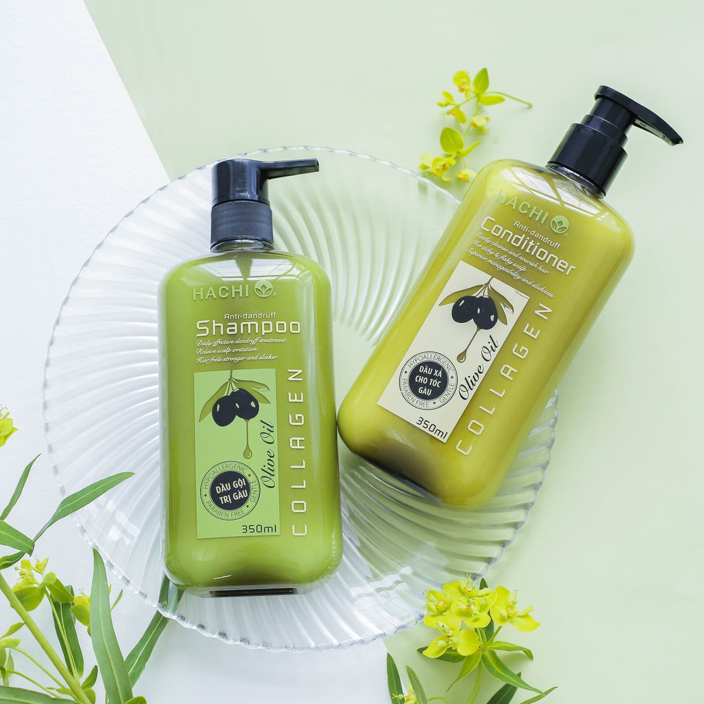 Dầu gội HACHI VIETNAM trị gầu OLIVE - Anti-dandruff Shampoo