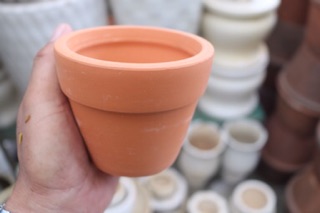 Chậu đất nung trồng cây