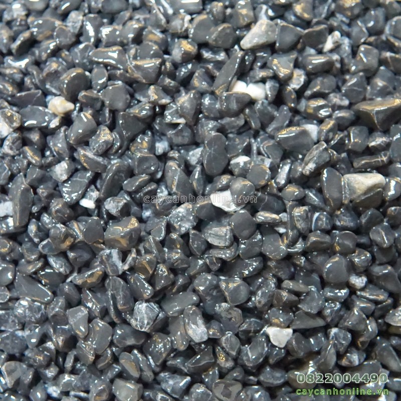 1kg sỏi trang trí tiểu cảnh trải mặt chậu cây cảnh để bàn