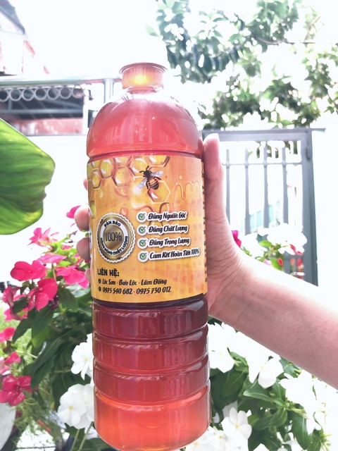 Mật Ong Nguyên Chất Hoa Cà Phê Bảo Lộc 1 Lít