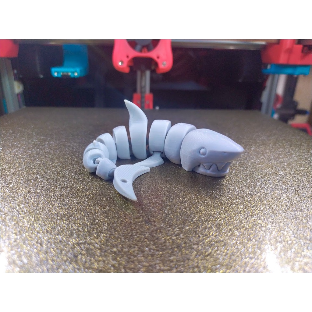 Cá mập Flexi shark