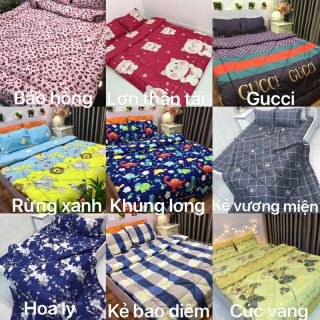 Bộ ga gối ( chat chọn mẫu )