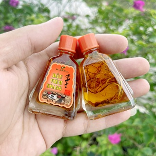 💥 combo 10 chai dầu viêm xoang chai lớn 7ml 💥 có ngâm thuốc sẵn trong lọ 💥