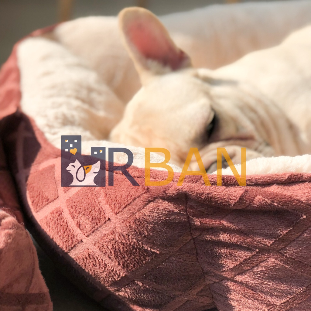 𝗨𝗿𝗯𝗮𝗻_Đệm/ổ nệm bo 4 góc cho thú cưng_Size dưới 10kg