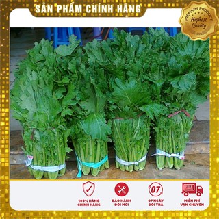 Hạt giống Rau cải Mèo Đặc Sả Hà Giang