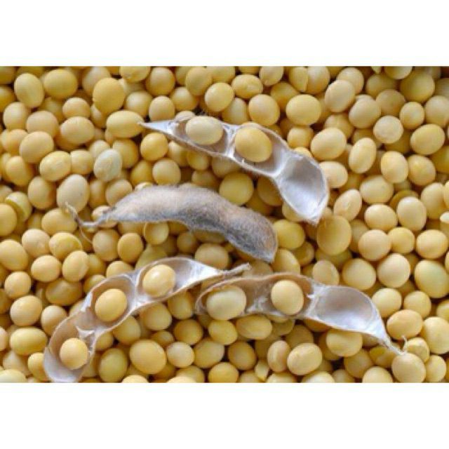 1kg đậu nành_ đỗ tương quê