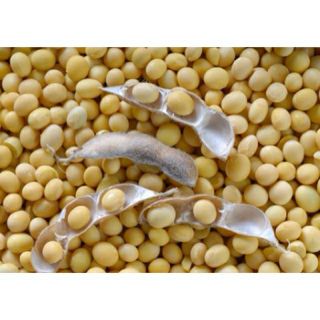 1kg đậu nành_ đỗ tương quê