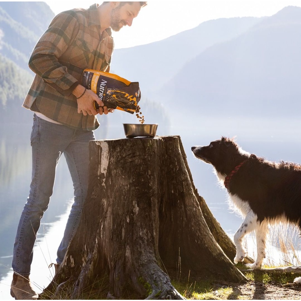 Thức Ăn Hạt Cho Chó Corgi - Nutrience Subzero Bao 2,27kg - 6 Loại Thịt (Bò, Cừu Cá Hồi,...) Rau Củ Quả, Trái Cây