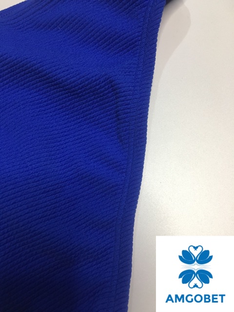 Quần bơi bikini lẻ xuất khẩu hai mảnh xanh coban đẹp xuất Mỹ Xhilaration uv100 -QBXHI01 | BigBuy360 - bigbuy360.vn