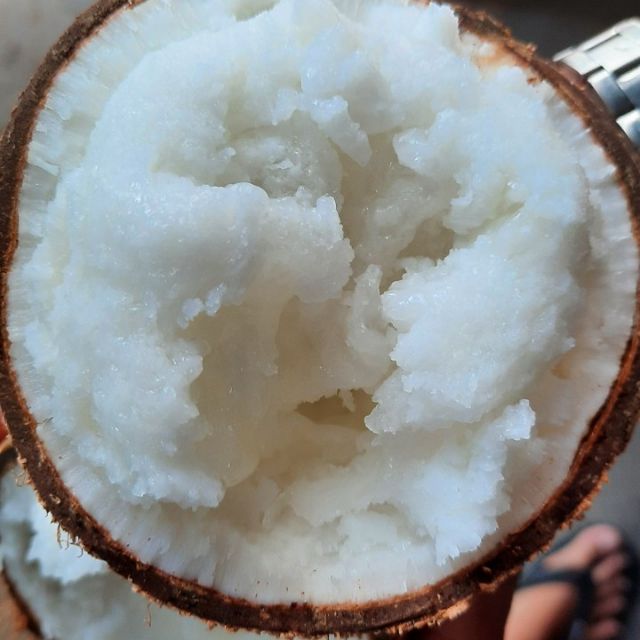 Dừa Sáp Loại đặc biệt nước sệt trái to 1kg5