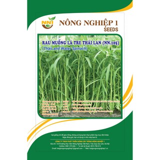 HẠT GIỐNG RAU MUỐNG LÁ TRE GÓI 50 GRAM