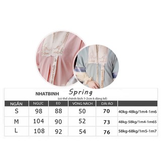 Áo Nhật Bình CÁCH TÂN SPRING