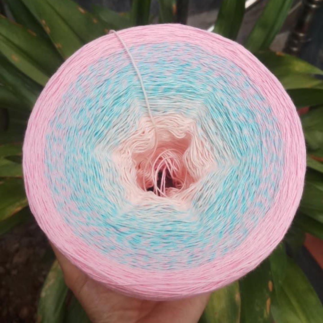 Hamster Nhà Thỏ 🐰