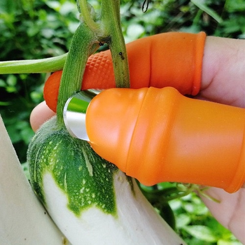 Ngón cái bấm cắt rau củ - nạo gọt tiện lợi chống bẩn móng tay Bộ Móng Nhặt Rau Củ Quả
