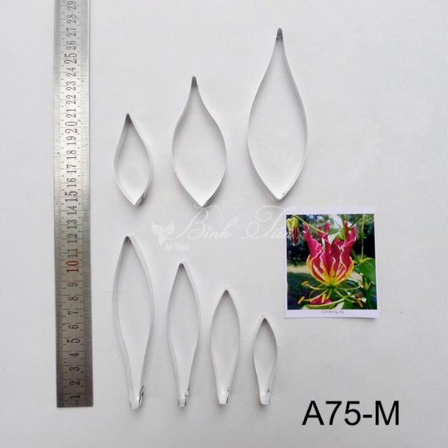 Khuôn làm hoa đất sét- hoa lily lửa