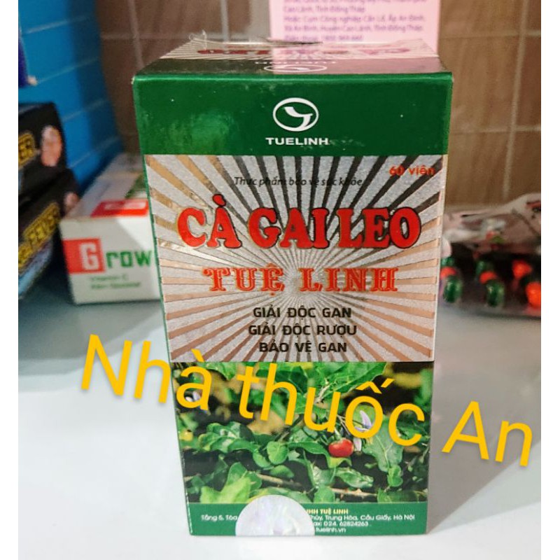 Cà gai leo Tuệ Linh chai 60 viên