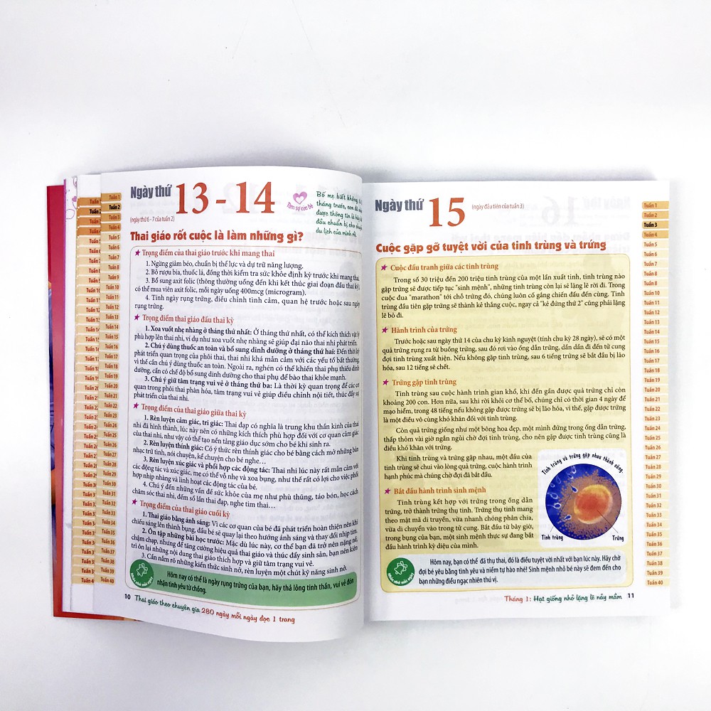 Sách - Thai Giáo Theo Chuyên Gia - 280 Ngày, Mỗi Ngày Đọc 1 Trang Tặng Bút Galaxy
