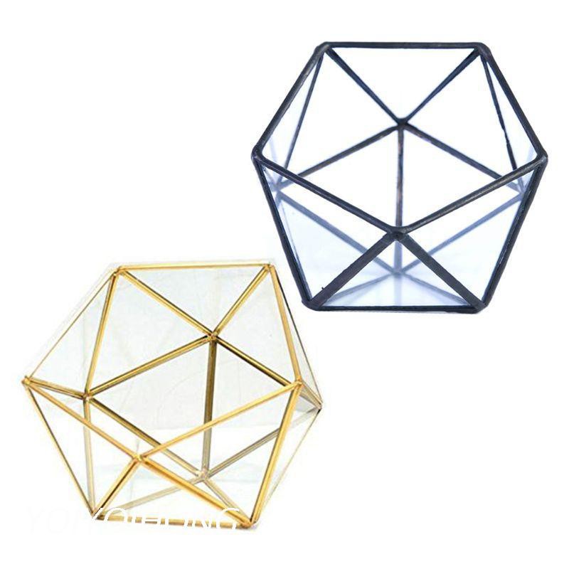 Hộp Thủy Tinh Trồng Cây Kiểu Dáng Độc Đáo Tiện Dụng