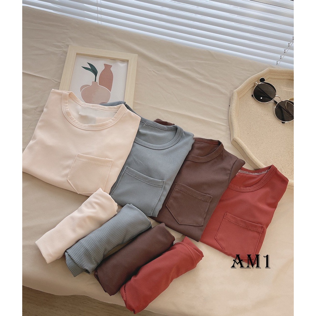 Đồ bộ bé sơ sinh tới 18kg - bộ quần áo trẻ em cộc tay AM950