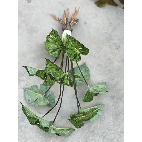 Cây giả/ Cây lá rùa cảnh 18 lá to cao 76 cm loại 1 decor siêu đẹp