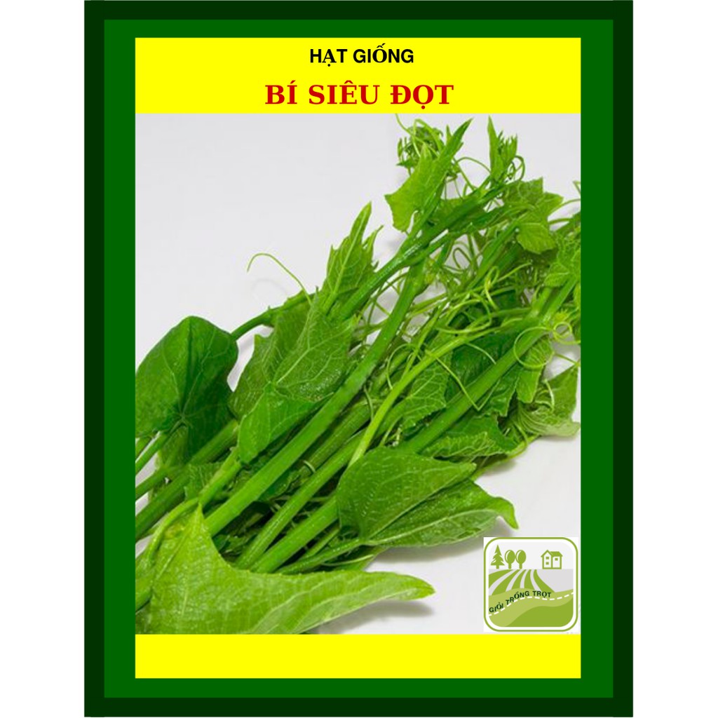 Gói 10gram Hạt Giống Bí Siêu Đọt Chịu Nhiệt Tốt, Năng Suất Cao