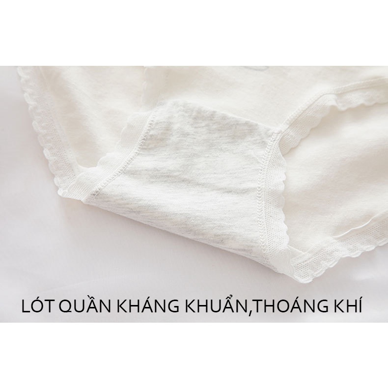 Quần lót nữ cotton combo 5 màu thiết kế mèo cute 306