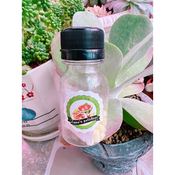 Phô mai Jolly thơm ngon. Phô mai cho hamster