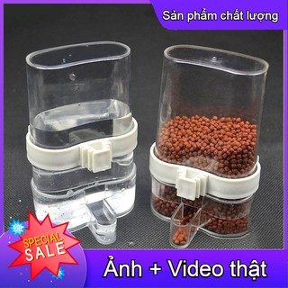 Cóng đựng thức ăn , nước uống cho chim