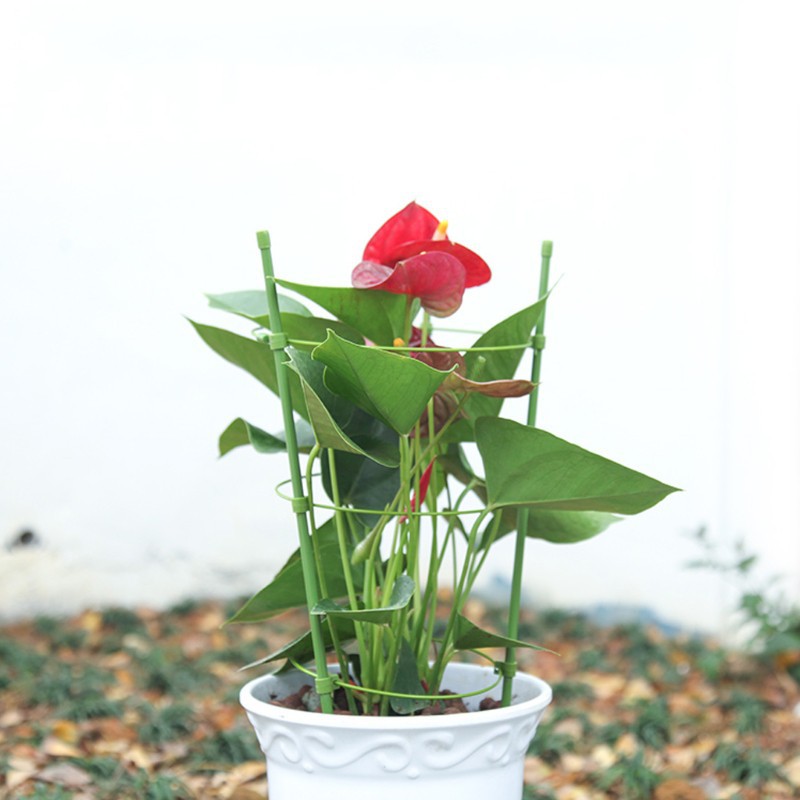 (Cực Rẻ) Giá đỡ hoa hồng, hoa leo đa năng kích thước cao 45cm, đường kính 18cm -thietbinhavuon- phanbonhoalan.