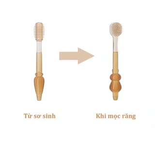 Rơ lưỡi và bàn chải silicon cho bé