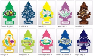 Thông thơm little trees _ hàng mỹ