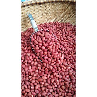 Lạc đỏ Điện Biên( loại nguyên vỏ, tách hạt)
