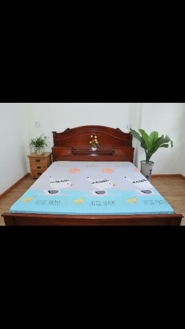 Drap chống thấm cao cấp 100% cotton | BigBuy360 - bigbuy360.vn