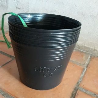 Chậu nhựa dẻo trồng cây 17 x 23 cm