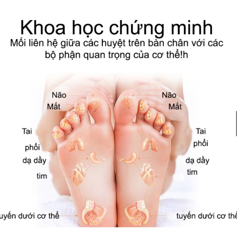 Bồn ngâm chân, massage hồng ngoại tự động, có sục khí