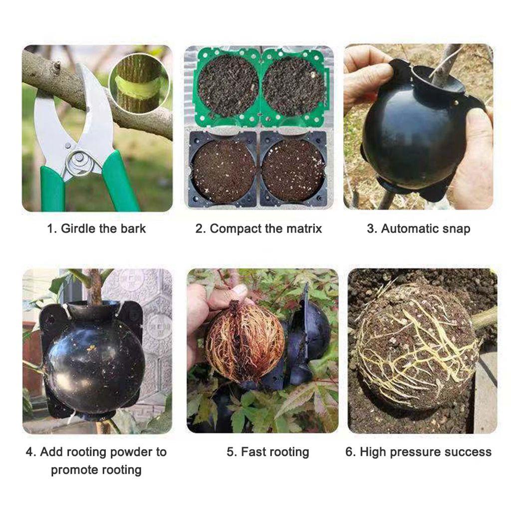 Set 10 Quả Bóng Nhựa Áp Suất Cao 4 Màu Sắc Tùy Chọn Hỗ Trợ Trồng Cây