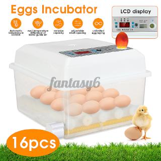 Máy ấp trứng tự động có 16 ngăn tiện lợi