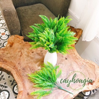 Cây Giả -Combo 5 Cành Dương Xỉ Măng Sao Lá Nhựa 0201