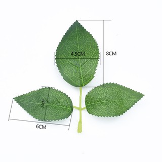 100g lá hoa hồng