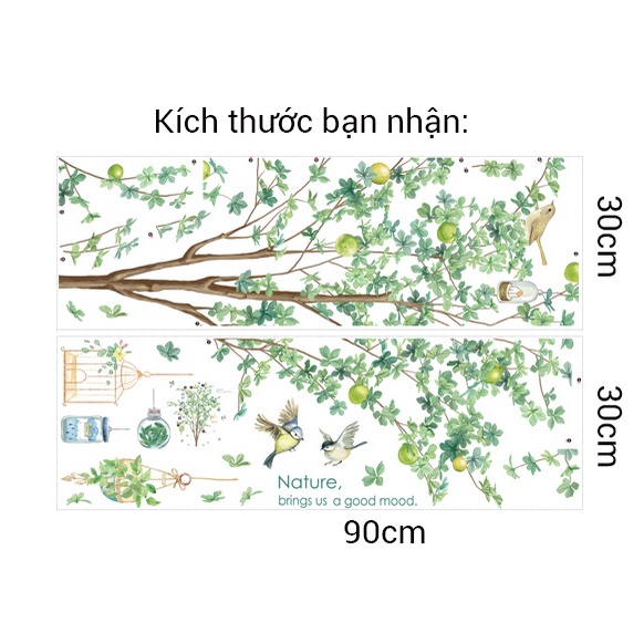 Decal dán tường cây chanh