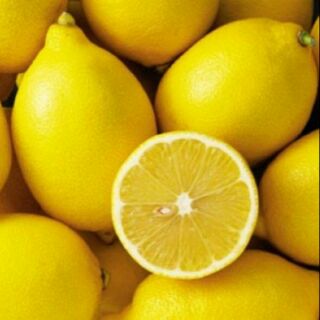 Cây chanh vàng mỹ cây chiết