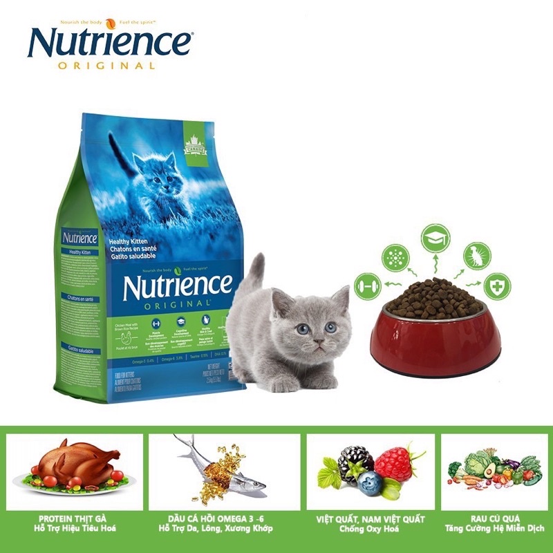 Hạt Nutrience Kitten Cho Mèo Con - Gà &amp; Rau Củ Quả